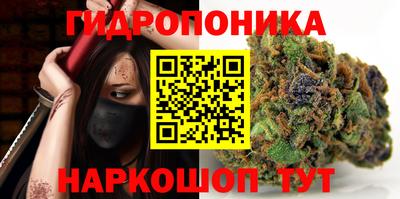 дмт Гусев