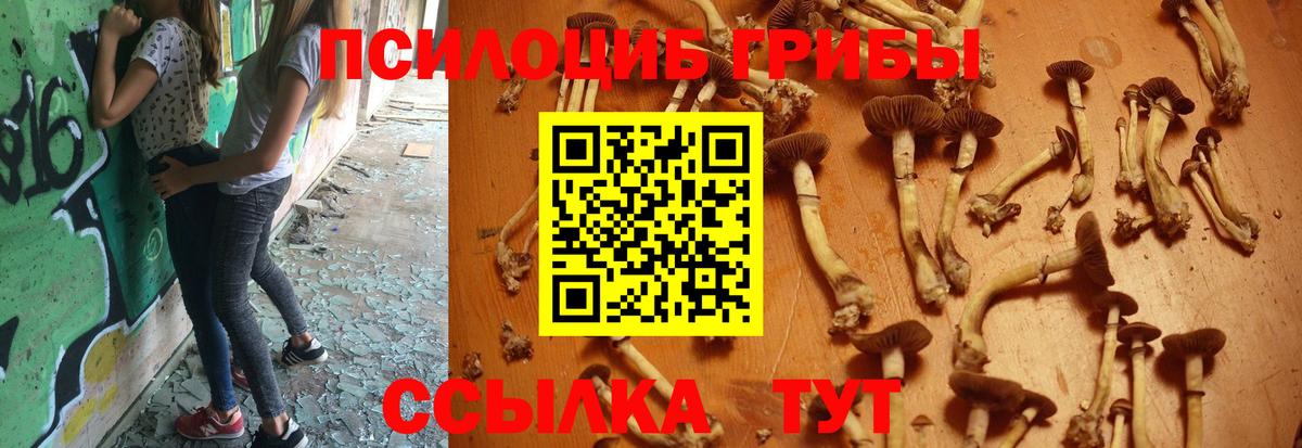 A-PVP СК   Кокаин  Меф МЯУ МЯУ   NBOMe  Вейп ТГК  Каннабис  Острогожск  ЭКСТАЗИ  Гашиш  Вход с VPN 