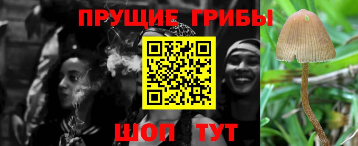 Псилоцибиновые грибы прущие грибы  Вход с VPN  Псилоцибиновые грибы Psilocybe  Острогожск 